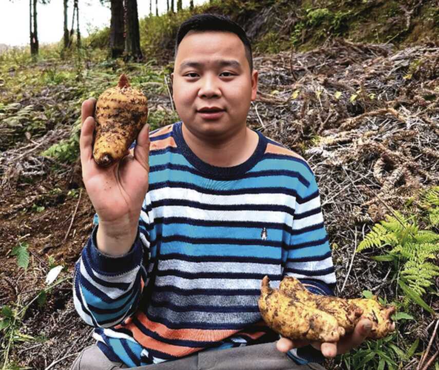 唐臣鵬代表：深山里的“天麻工程師”